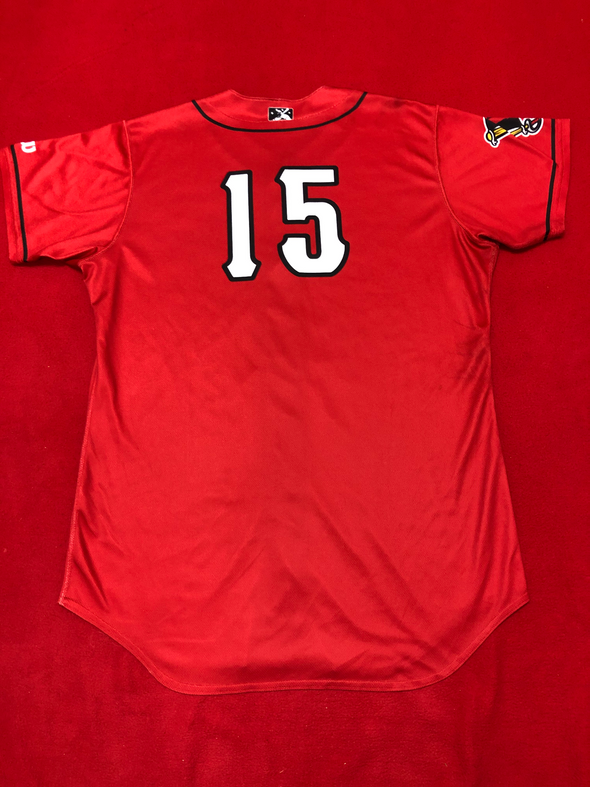 Daz Cameron Game-Used, Autographed Red Jersey #15