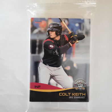 Erie SeaWolves RC Detroit Tigers Static Cling