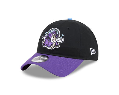 Erie SeaWolves '47 Brr Clean Up – Erie SeaWolves Official Store