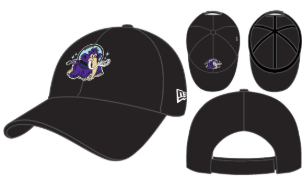 Erie SeaWolves NEC Moon Mammoths Youth 9TWENTY Adjustable Cap