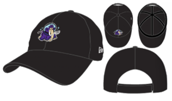 Erie SeaWolves NEC Moon Mammoths 9TWENTY Adjustable Cap