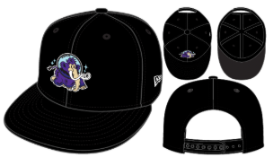 Erie SeaWolves NEC Moon Mammoths 9FIFTY Adjustable Snapback Cap