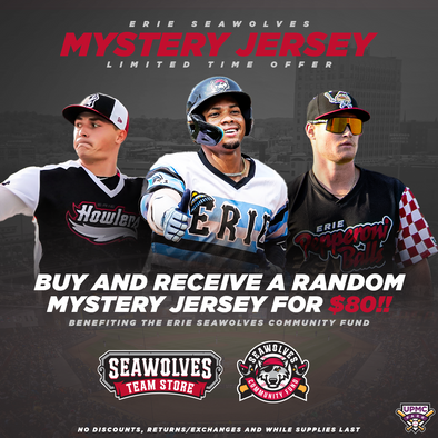 Erie SeaWolves Mystery Jersey