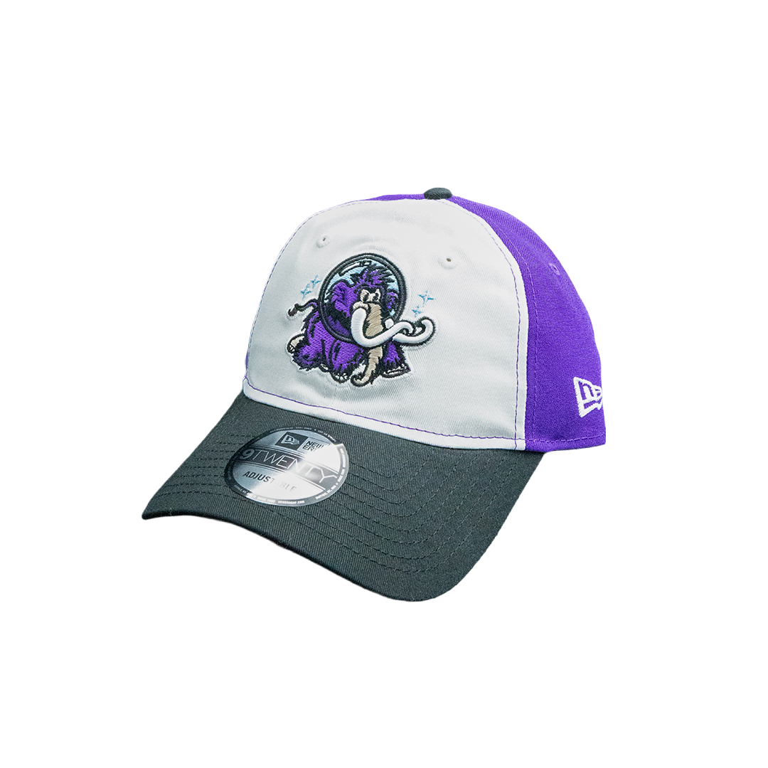 Erie SeaWolves NEC Moon Mammoths Tri-Color 9TWENTY Adjustable Cap ...
