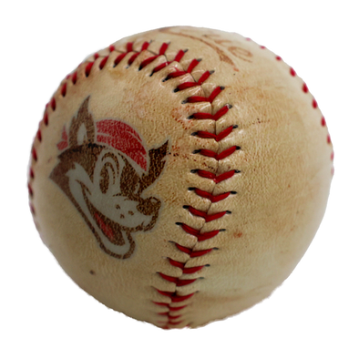 Erie SeaWolves Fauxback Souvenir Baseball