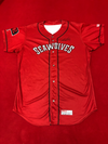 Alex Faedo Red Game-Used, Autographed Jersey #29
